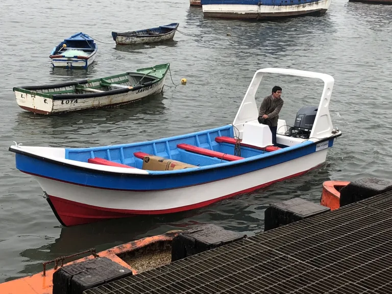 Reportan dos pescadores desaparecidos tras zarpe desde Caleta Portales en Valparaíso