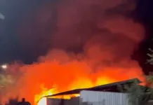 Violento incendio afectó a taller de mueblería que amenazó con propagarse a viviendas en Pelequén IMG_0590
