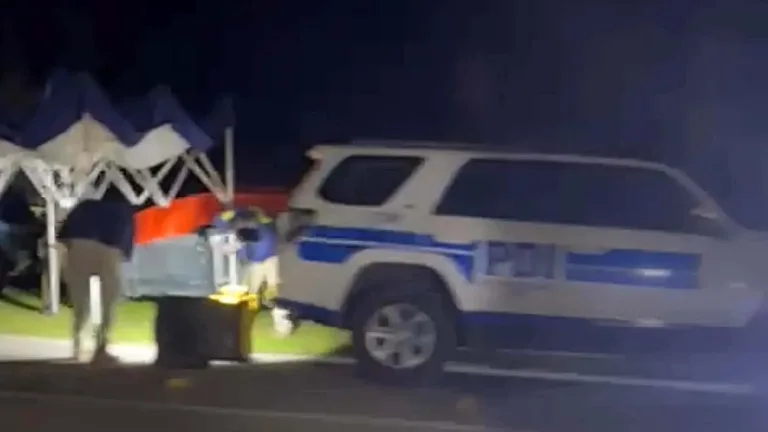 Investigan hallazgo de cuerpo sin vida al interior de un vehículo en sector rural de Molina