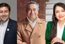 Pablo del Río Jiménez - Alexis Sepúlveda Soto - Consuelo Veloso Ávila