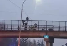Hombre con aparente crisis mental amenazó con lanzarse desde pasarela del Puente Lircay en Talca abda050c-7213-4d7d-8d61-60421878fea9
