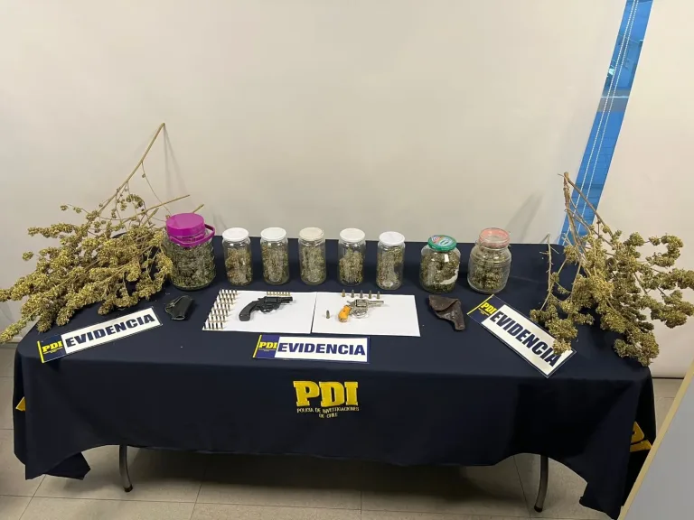 Formalizan a imputado en Linares por cultivo de marihuana “indoor” y tenencia ilegal de armas de fuego