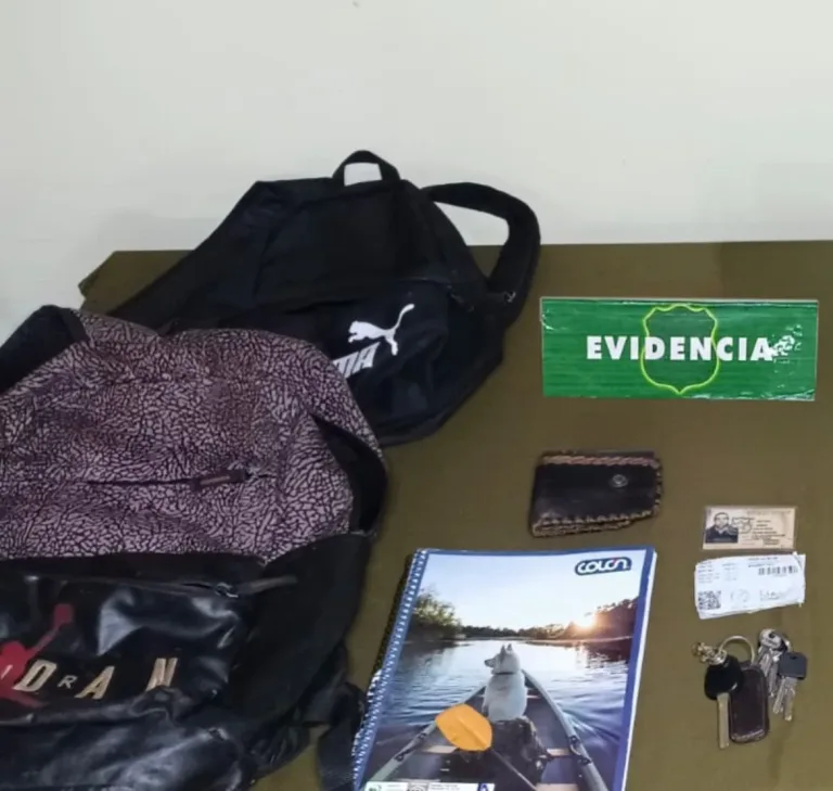 Cinco detenidos tras allanamiento en Curicó por receptación y porte ilegal de arma de fuego