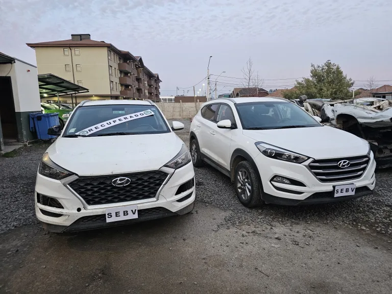 Carabineros del SEBV de Talca detiene a sujeto por mantener vehículo robado desde 2019