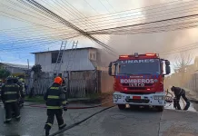 Incendio en bodega clandestina en Linares obliga a despliegue masivo de bomberos y provoca intoxicación por ají en voluntarios f6405819-fccc-4371-b025-ea2b7e28d745