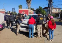 PDI Realizó fiscalización de extranjeros en terminal de buses de Curicó 06e30f37-49c6-490f-b7ad-b0ebf6bc32dc