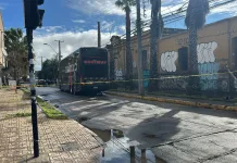 Identifican a víctima fatal del atropello en pleno centro de Curicó 79BDBC72-154A-48AD-ACC3-5DBE36EB75B6