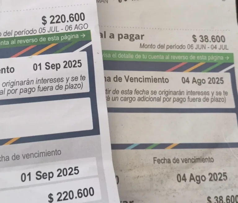Senadora Vodanovic pide a la SEC nacional detener cobros de luz en el Maule hasta esclarecer alzas tarifarias