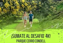 Social Run Curicó invita a vivir el running en comunidad este domingo en el Cerro Condell CERRO1