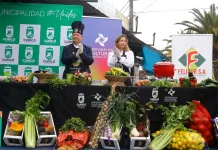 Curicó se prepara para vivir la Feria de los Caldos 2025-1