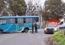 Conductora de microbús fallece en accidente de tránsito en la comuna de Maule IMG_4089