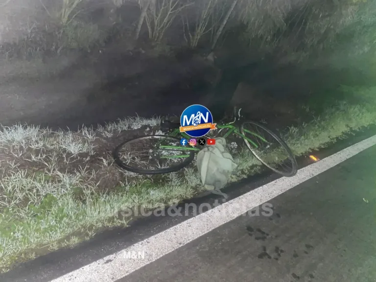 Fatal atropello en Rauco: hombre murió tras ser embestido por conductor que huyó del lugar, siendo detenido minutos más tarde gracias a un testigo.