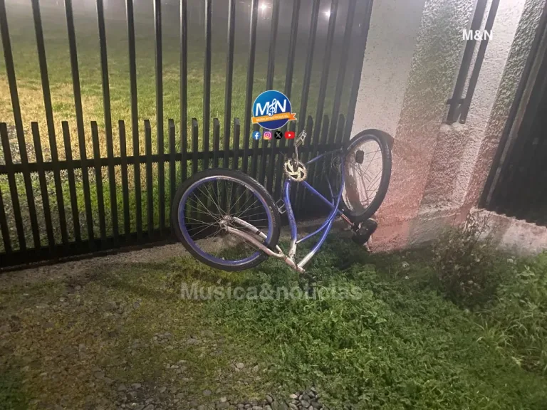 Conductor ebrio queda en prisión preventiva tras fatal atropello en Rauco