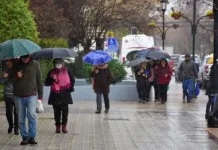Declaran alerta preventiva en la Región del Maule por evento meteorológico LLUVIA - 1