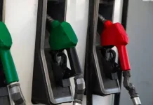 El diésel registrará la baja más importante en la nueva variación semanal de los combustibles anunciada por ENAP. IMG_6239