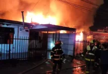 Incendio en Lontué afectó a dos viviendas y dejó una mascota herida IMG_6460
