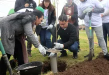 Reforestan villa de Molina con 40 árboles nativos en iniciativa comunitaria Reforestan villa de Molina con 40 árboles nativos en iniciativa comunitaria-1