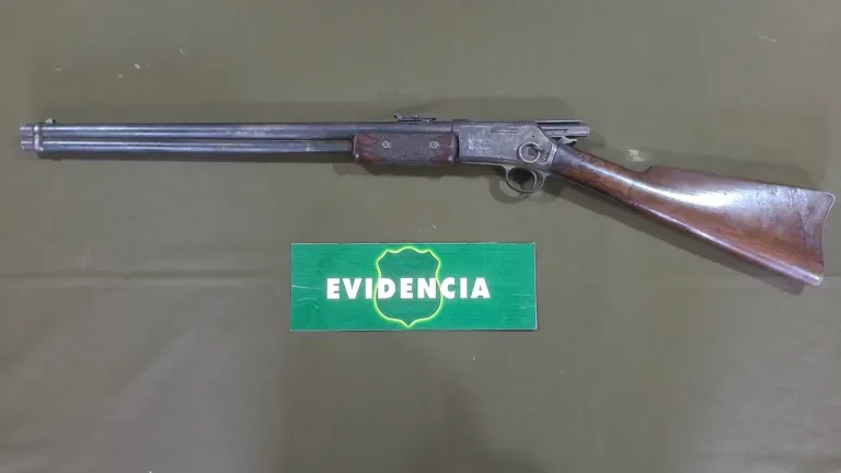 Detenido por porte ilegal de arma de fuego y amenazas a carabinero en Curicó