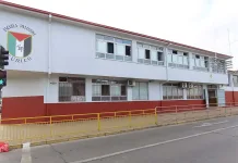 escula palestina-curico