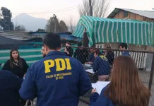 PDI rescata a 16 perros en malas condiciones en la comuna de Mostazal f05c24ab-7a8a-4a49-a9a7-d5fab3dcea82