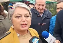 jeanette jara - vista curico