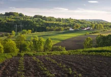 terreno- agricola-campo