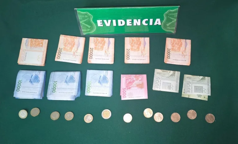 Carabineros detuvo a sujeto por hurto en la comuna de Linares