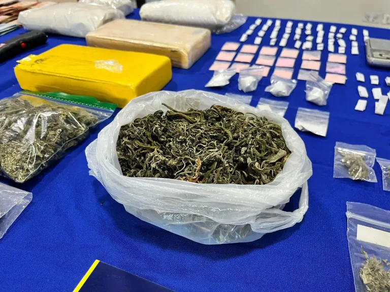 5 sujetos en prisión preventiva y 18 domicilios allanados deja operativo antidrogas en Constitución