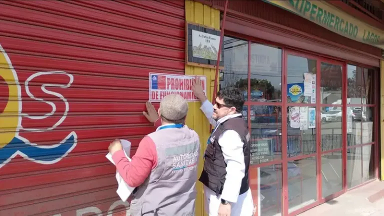 Decomisan más de 800 kilos de carne en fiscalizaciones sanitarias previas a Fiestas Patrias en la región de O’Higgins