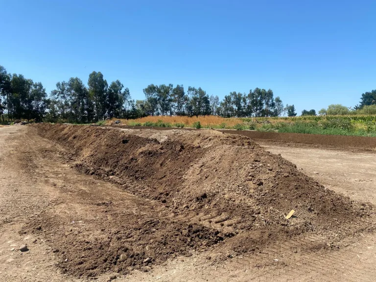 SMA formula cargos contra avícola en San Clemente por incumplimientos ambientales