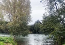 rio cato - parral