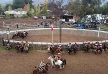 Asociación de Huasos Cuenca del Mataquito lanzó oficialmente la temporada 2025-2026 de rodeo rodeo-costa