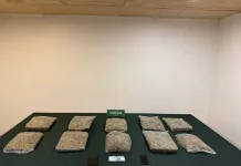 Carabineros del OS7 detiene a dos extranjeros por tráfico de drogas en Curicó 3e9c61cb-f6af-4a2e-9a73-6a101ece0458