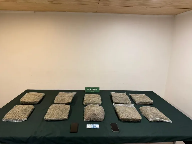 Carabineros del OS7 detiene a dos extranjeros por tráfico de drogas en Curicó