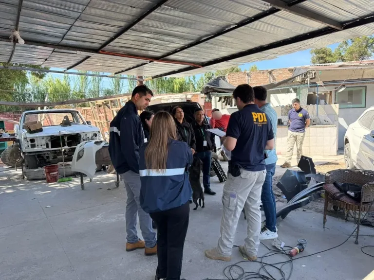 PDI, SII y Municipio Local realizaron fiscalización a desarmadurías en la comuna dé a Curicó