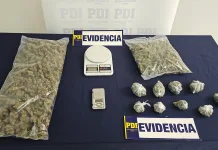 PDI detiene a clan familiar dedicado a la comercialización de droga en San Vicente de Tagua Tagua 77d0d43e-5e04-4c36-8f92-80c4c64413f8