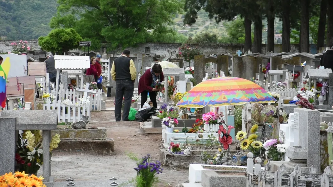 96c9d1b8-d029-4948-9c62-564e04fbd0a4