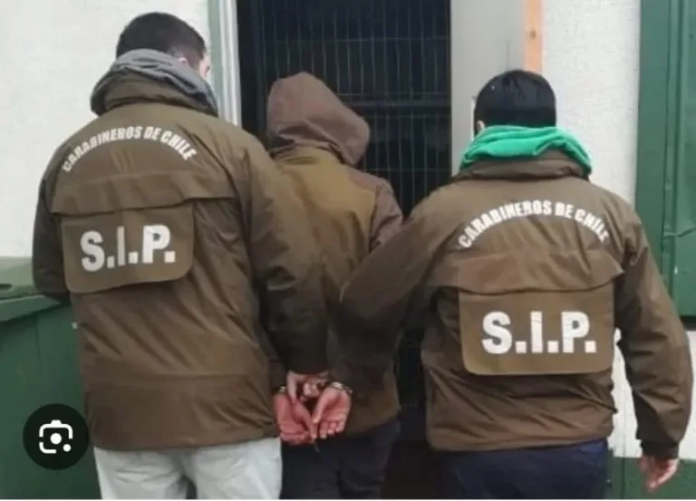 Detienen a presunto responsable de accidente que dejó una víctima fatal en Palmilla