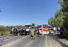 Una persona fallecida deja fatal accidente de tránsito en ruta K-630 en sector Los Patos, comuna de Maule Screenshot