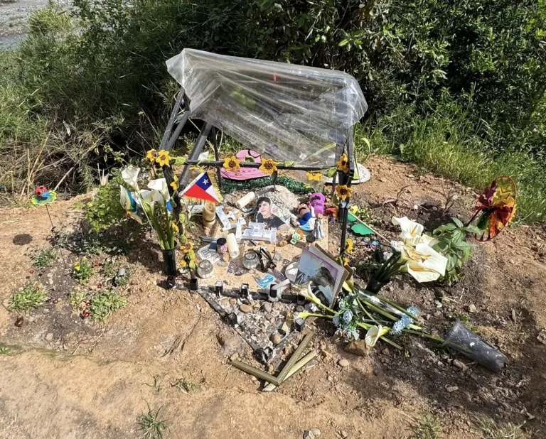 Familia y amigos denuncian destrucción de memorial en recuerdo de Francisco Albornoz en la región de O’Higgins