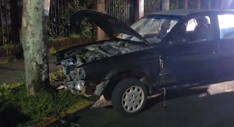 Conductor ebrio choca contra un árbol y agrede a funcionario de Seguridad Ciudadana en Linares