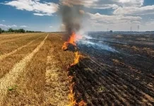 Prohibidas las quemas en el Maule desde noviembre-1