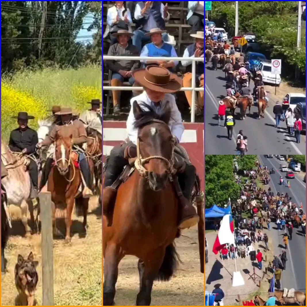 Romeral celebró el Día Comunal del Arriero 2025 con emotivo homenaje a las tradiciones cordilleranas
