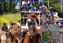 Romeral celebró el Día Comunal del Arriero 2025 con emotivo homenaje a las tradiciones cordilleranas Romeral celebró el Día Comunal del Arriero 2025 con emotivo homenaje a las tradiciones cordilleranas
