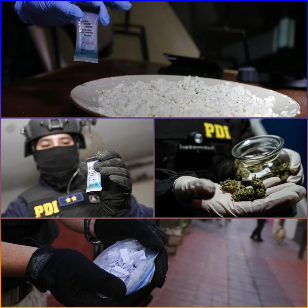 collagePDI detiene a cuatro personas por tráfico y microtráfico de drogas en Talca y Yerbas Buenas-0
