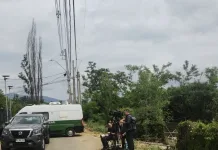 Identifican a uno de los cuerpos encontrados en San Vicente: correspondería a una joven desaparecida hace 3 meses 2d14a336-0544-4c09-9f05-4b6bcbba3502