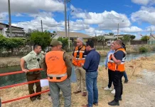 Realizan búsqueda en canal Fiscal de Parral tras denuncia de persona desaparecida en Villa Vista Hermosa 2e17f0ab-2d18-44ad-a514-c85a847a3574
