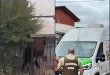 Detienen a hombre por maltrato animal en Curicó Detienen a hombre por maltrato animal en el sector Bombero Garrido de Curicó