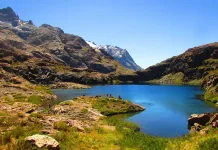 Laguna-Cuellar-Linares