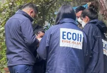 Hallan cadáveres durante operativo antidrogas en San Vicente de Tagua Tagua d1daf717-e7ef-4de6-9890-2234e4bd7858